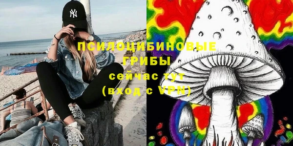 тгк Абдулино