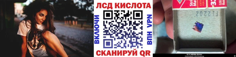 как найти   Поворино  Наркотические марки 1,8мг 