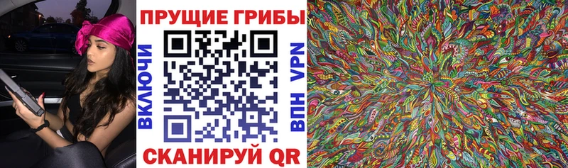 hydra ССЫЛКА Поворино Псилоцибиновые грибы прущие грибы